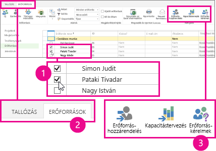 Az Erőforrás-kérelmek lehetőség választása az Erőforrások lapon