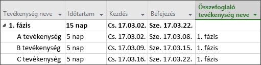 Összefoglaló tevékenység neve oszlop
