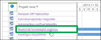 A Projektközpont