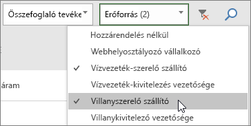 A Tevékenységtábla Erőforrások szűrése legördülő listája, két erőforrás van benne kijelölve