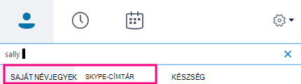 Ha elkezd gépelni a Skype Vállalati verzió keresőmezőjébe, a lenti lapok Partnerek és Skype-címtár lapra változnak át.