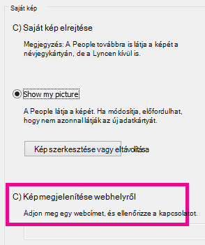 Képernyőkép: a Lync Saját kép beállítási ablaka a bejelölt Kép kijelölése webhelyről választógombbal