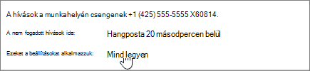 A hívásátirányítási menü a beállítások alkalmazásakor