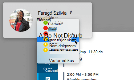 Képernyőkép egy álló kép a Skype ablakában, a jelenléti állapot párbeszédpanelje kijelölve.
