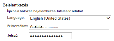 Bejelentkezés hálózati bejelentkezési hitelesítő adatokkal