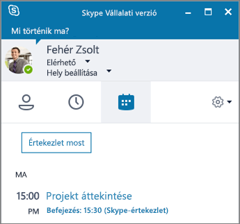 Képernyőkép a Skype Vállalati verzió ablakának Értekezletek lapjáról