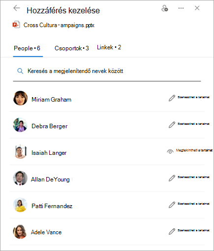 A megosztott fájl engedélyeit megjelenítő Hozzáférés kezelése panel.