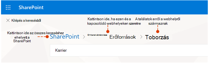 Képernyőkép, amelyen a találatok forrása és az alternatív helyek láthatók