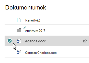Tár képernyőképe egy kijelölt fájllal
