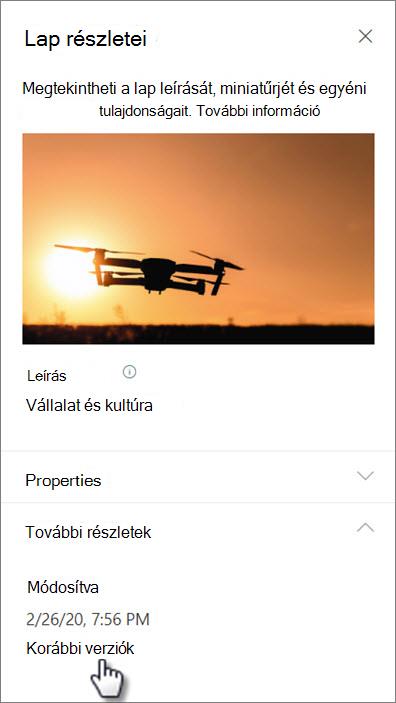 Képernyőkép a Verzióelőzmények hivatkozásról a lap részletei alatt