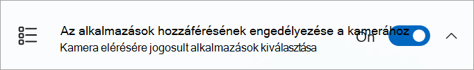A kameramegosztás váltókapcsoló be van kapcsolva a windowsos eszköz beállításaiban.
