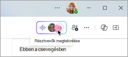 Válassza az élő jelzőt a csoportos csevegésben az azonnali értekezlet résztvevőinek megtekintéséhez.