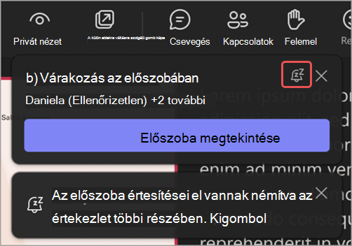 Képernyőkép az előszobában lévő értesítésről, amelyben ki van emelve az Értesítések elnémítása ikon.