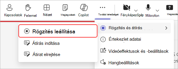 Képernyőkép, amely kiemeli, hogyan lehet leállítani a felvételt egy városháza során