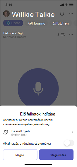 Képernyőkép az élő feliratok bekapcsolásakor elérhető lehetőségekről