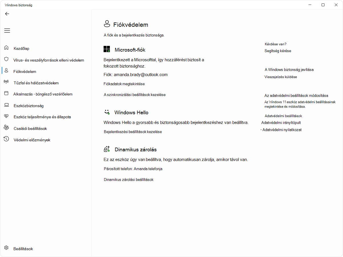 Képernyőkép a Windows biztonság alkalmazás Fiókvédelem lapjáról.