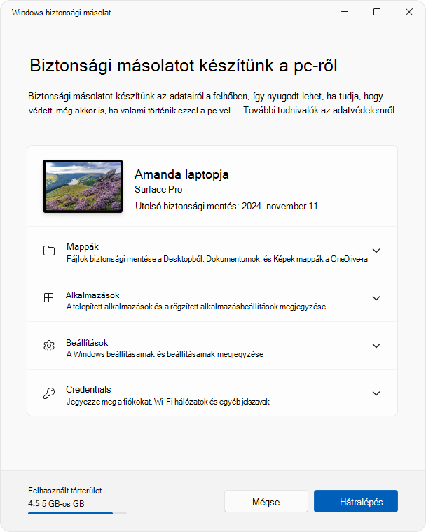 Screenshot of the Windows Backup app in Windows 11.