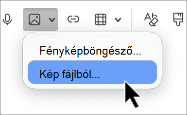 'outlook-mac-insert-picture-screenshot