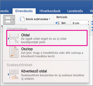 Layout Break menu with Page Break highlighted