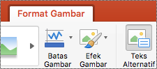 Tombol Teks Alt pada pita di PowerPoint untuk Mac