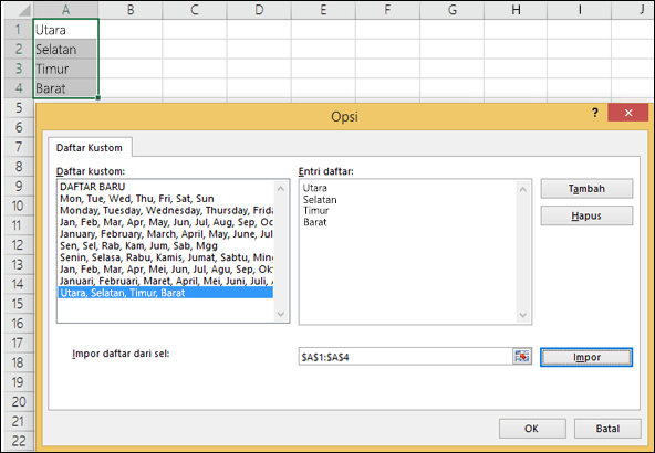 Dialog Daftar Kustom dari Opsi File > Tingkat Lanjut > Edit Daftar Kustom Umum>.> Untuk Excel 2007 klik Tombol Office > Opsi Excel Edit > Daftar Kustom Populer>.