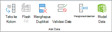 Grup Alat Data pada tab Data