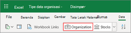 Tipe data Organisasi Excel dari Power BI