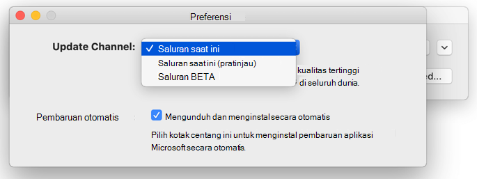 Gambar Jendela PembaruanOtomatis Microsoft Mac -> Jendela preferensi yang memperlihatkan pilihan saluran pembaruan.