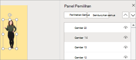 Memperlihatkan Panel Pilihan