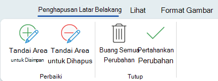 Opsi penghapusan latar belakang memungkinkan Anda menandai area gambar tertentu untuk dipertahankan atau dihapus.