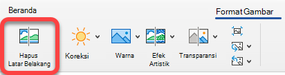 Opsi Hapus Gambar berada di tab Format Gambar di aplikasi Office.