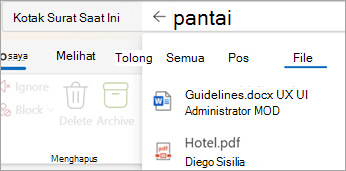 Pilih Files untuk melihat hasil pencarian dengan lampiran saja.