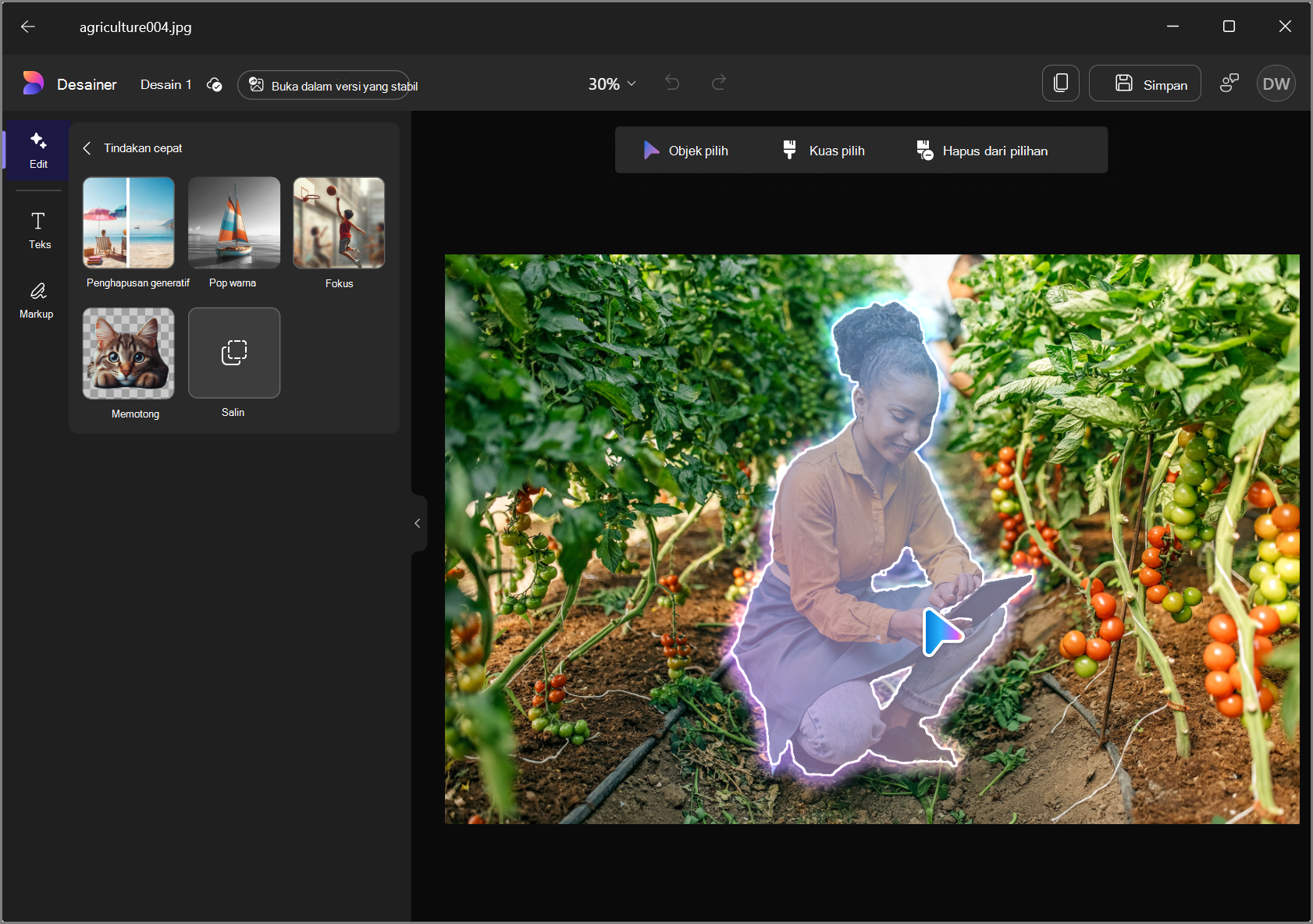 Cuplikan layar penggunaan objek pilih di Edit dengan Desinger