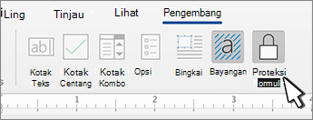 Tombol Lindungi formulir pada tab Pengembang