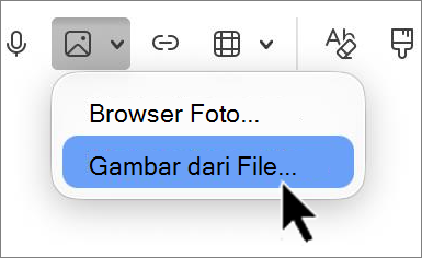 'outlook-mac-insert-picture-screenshot
