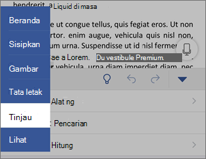 Tab Peninjauan