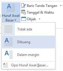 Di menu Huruf Besar Awal, pilih Jatuh.