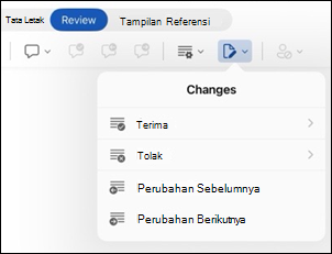 Word untuk iPad Tinjau opsi Perubahan