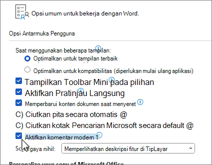 Pengaturan opsi komentar modern di bawah Opsi umum