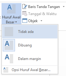 Pilih Tidak Ada untuk menghapus huruf besar awal.