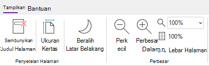 Grup opsi Zoom di OneNote untuk Windows.