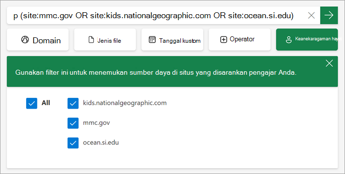 Cuplikan layar bagaimana filter kustom muncul kepada siswa saat aktif.