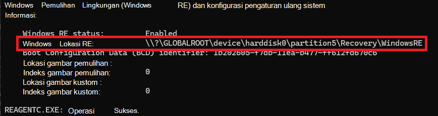 REAgentC Information Command