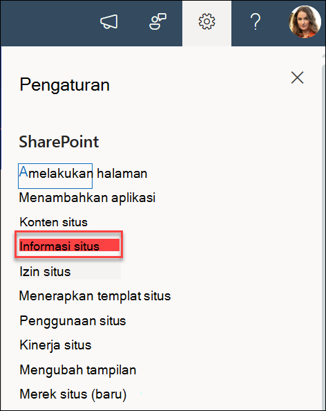 Opsi Informasi Situs dalam kotak dialog Pengaturan.