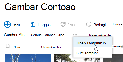 Bilah tampilan pustaka gambar dengan Ubah Tampilan dipilih