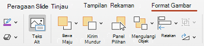 Tombol Teks Alt pada pita di PowerPoint untuk Mac.
