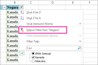 Tombol Hapus filter dari
