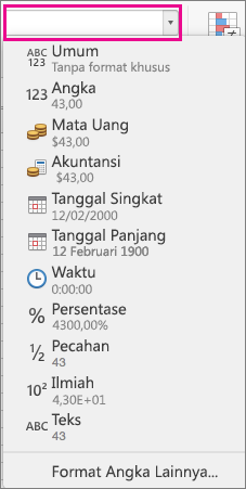 Kotak format angka