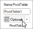 Tombol Opsi PivotTable
