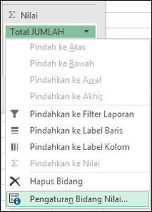 Dialog Pengaturan Bidang Nilai Excel